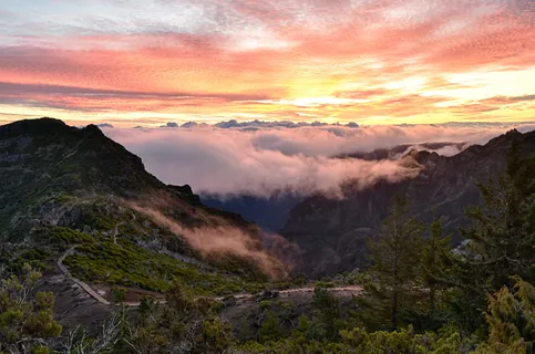 Madeira 4 — Madeira